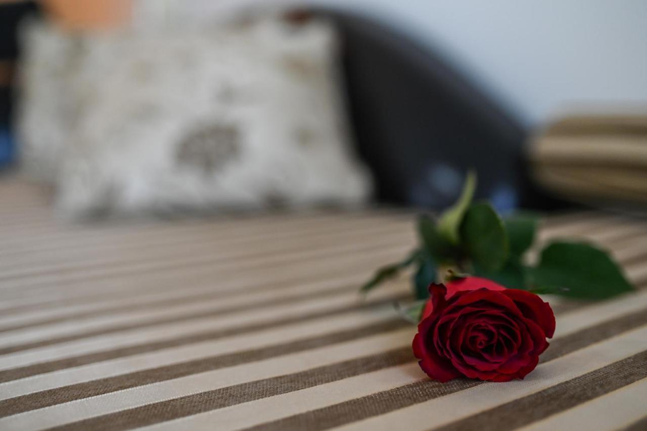 Garni Hotel Dash Novi Sad Bagian luar foto